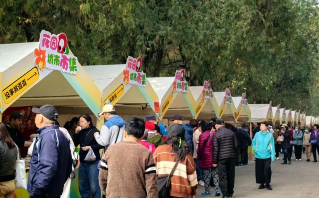 The 10th Ditan Ginkgo Festival | Beijing