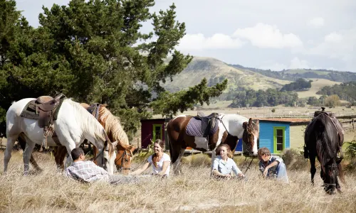 Horse Riding in Auckland