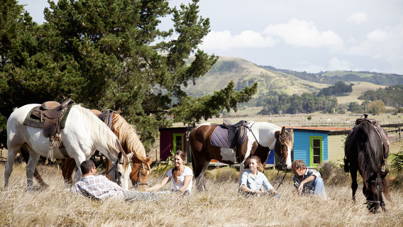 Horse Riding in Auckland