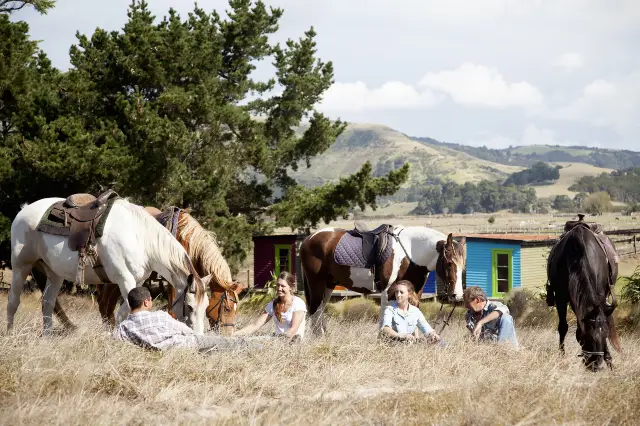 Horse Riding in Auckland