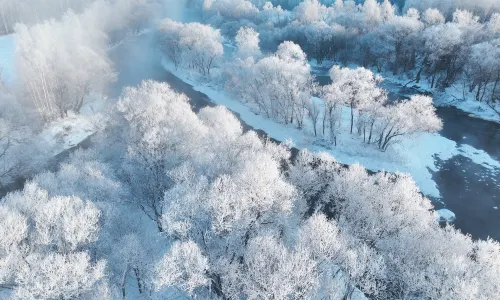 Rime Viewing in Harbin