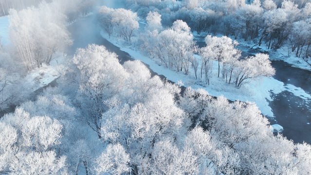 Rime Ice Viewing in Harbin