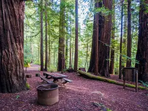Hidden Springs Campground