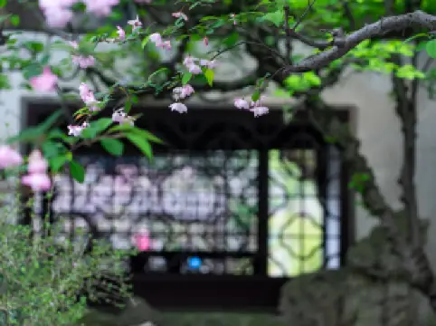 Lingering Garden(Liuyuan Garden)