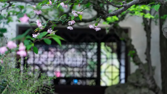 4_留園
