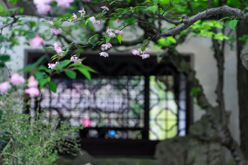 4_Lingering Garden(Liuyuan Garden)