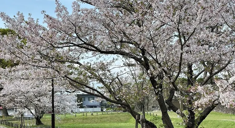 Spring Outings