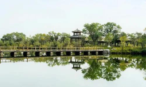Xin Jiang Jin Hu Yang