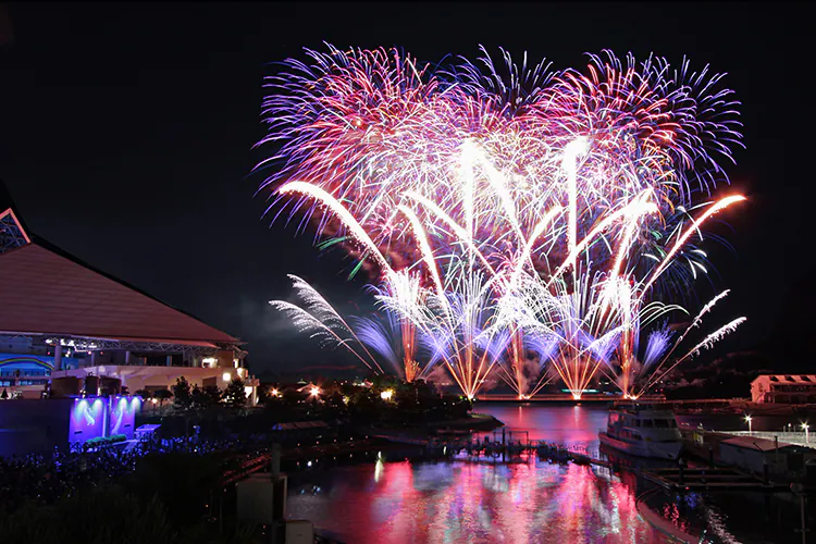 Yokohama Hakkeijima Sea Paradise Fireworks Symphony | Yokohama