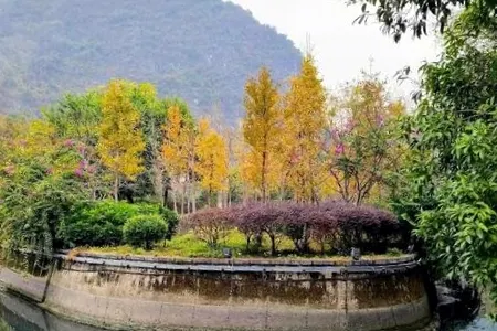 Shanshui Gardens