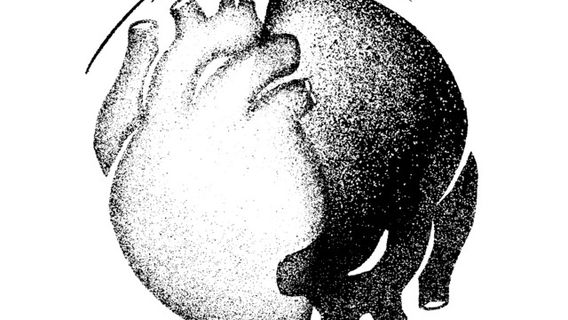 Rifu | Iori Kanzaki Tour