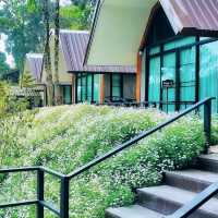 ที่พักบรรยากาศ​เหมือนไปต่างประเทศ​