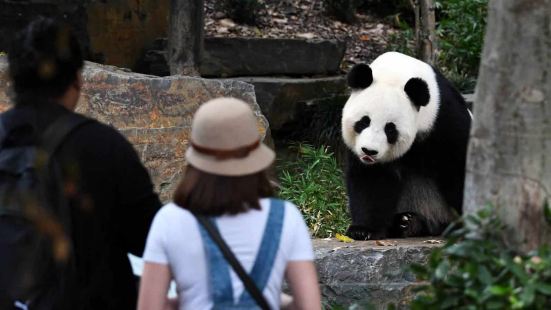 Adelaide Zoo&nbsp;is&nbsp;Aust