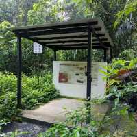 Thomson Nature Park: An interesting walk