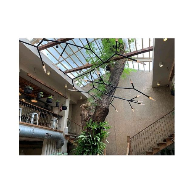 Lucky Cat Coffee & Kitchen