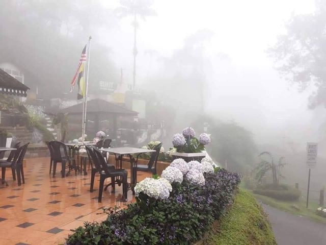 Bukit Larut