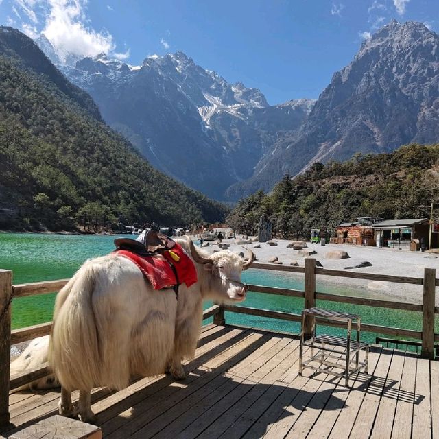 Jade Dragon Mountain Park