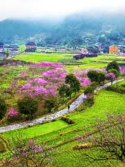 Xinhua Ancient Peach Garden