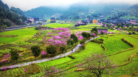 Xinhua Ancient Peach Garden