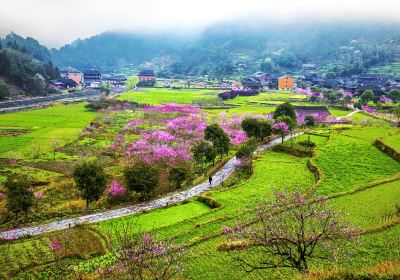 แหล่ง桃花โบราณ