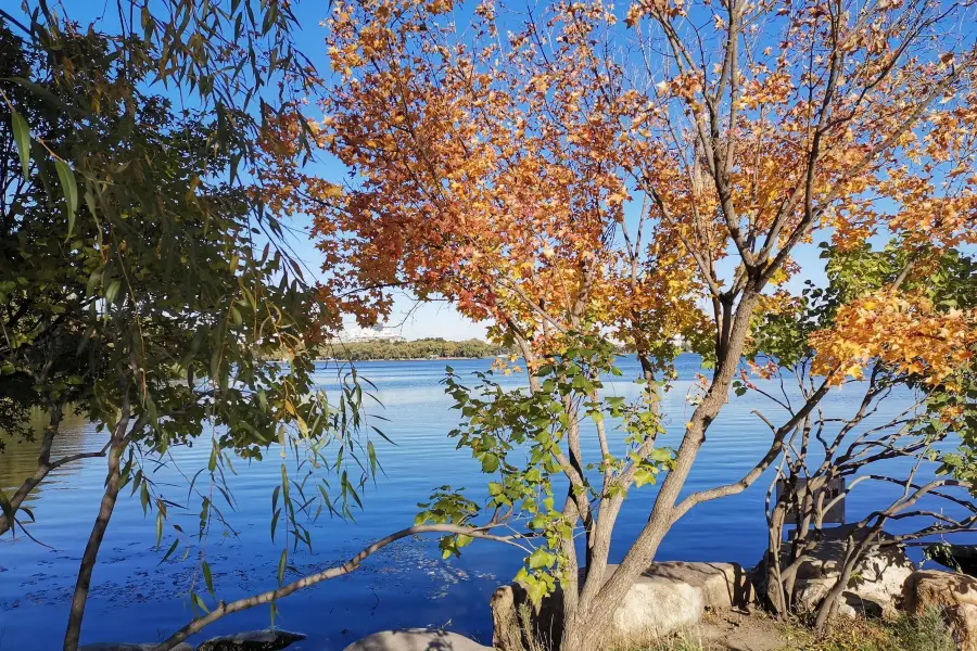 長春市南湖公園南部-林地風光區