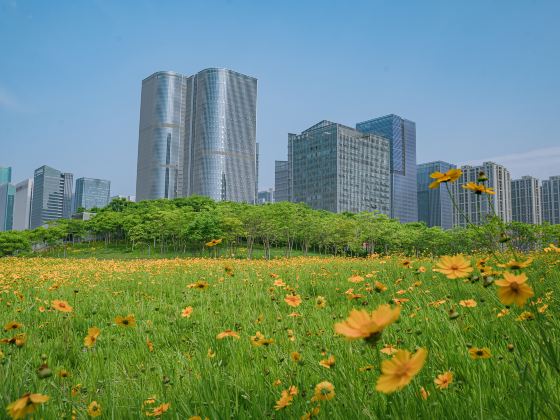 義烏江濱綠廊公園(城北路)