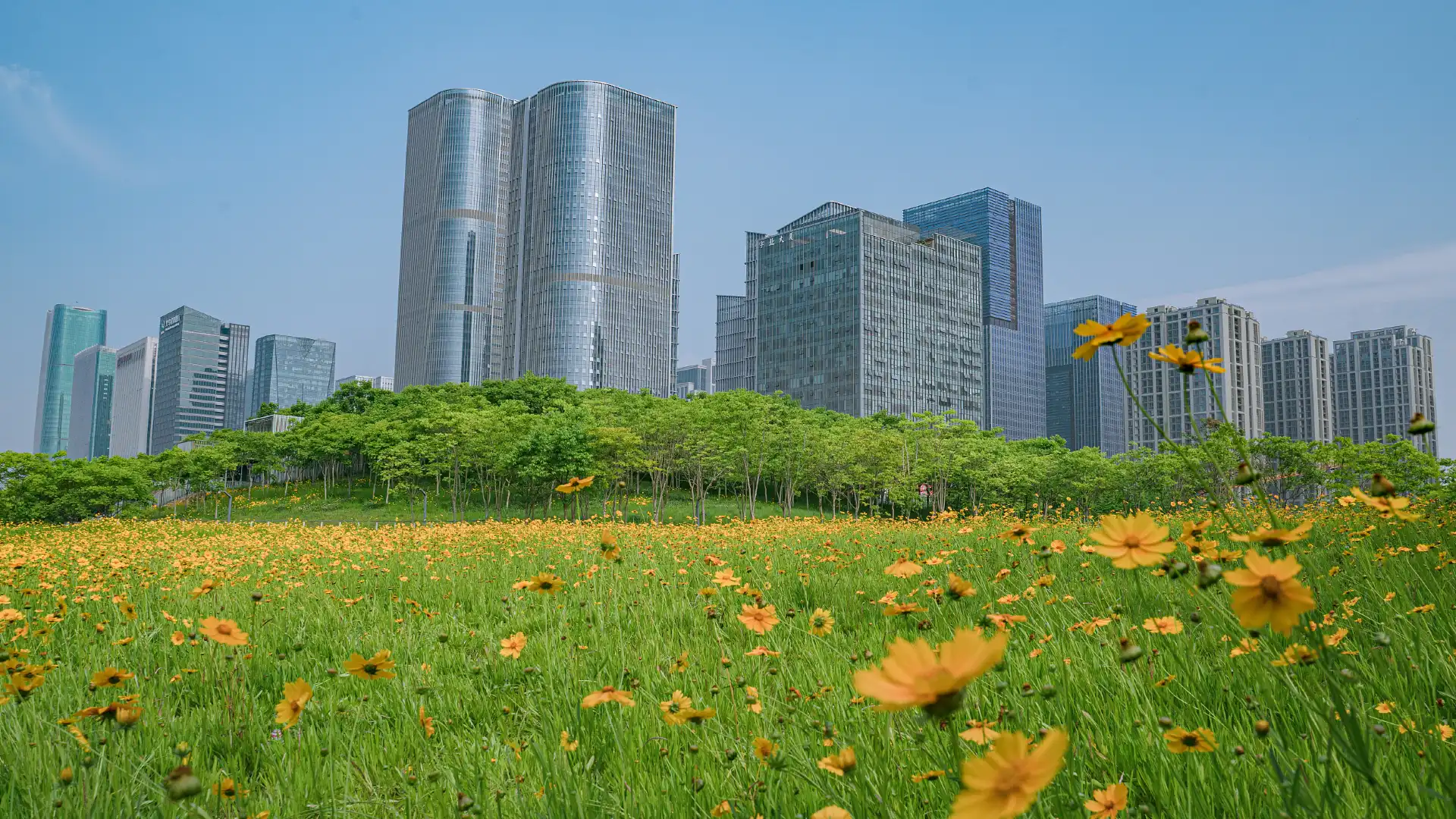 鄰近義烏江濱綠廊公園的酒店