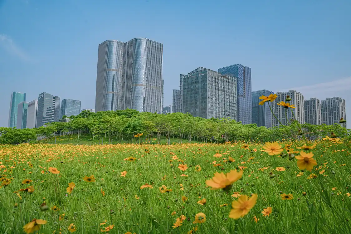 Hotels near Yiwu Riverside Green Corridor Park (Chengbei Road)