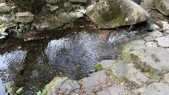 來之前也不知道還有18水原生態景區這，你來了之後發現這裏還是