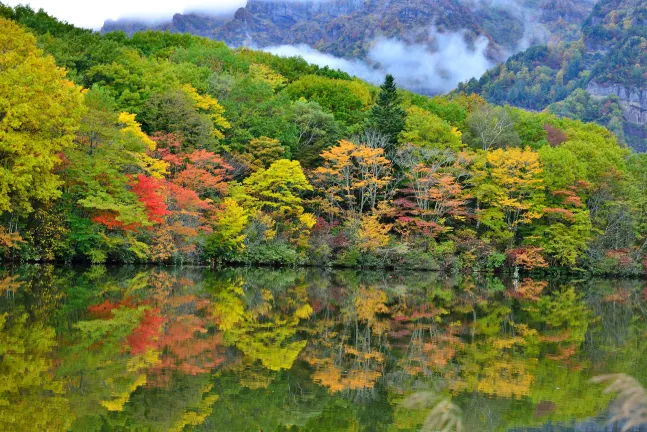 森のペンション　ニュー戸隠シーハイル 地図