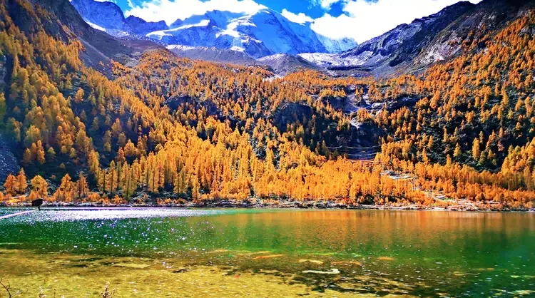 Fall Viewing Attractions