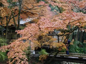 Tetsugaku No Michi