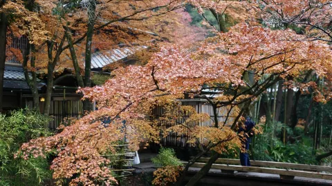 Tetsugaku No Michi attraction in Kyoto