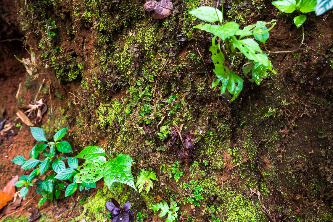 홍콩 습지 공원 주변 호텔