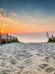 Ocean City Beach