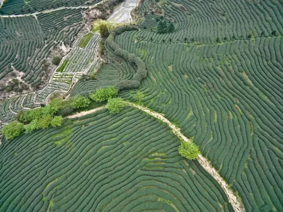 โรงแรมในซินฮว่า มีสระว่ายน้ำ