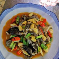 杨氏鱼港 User Photo