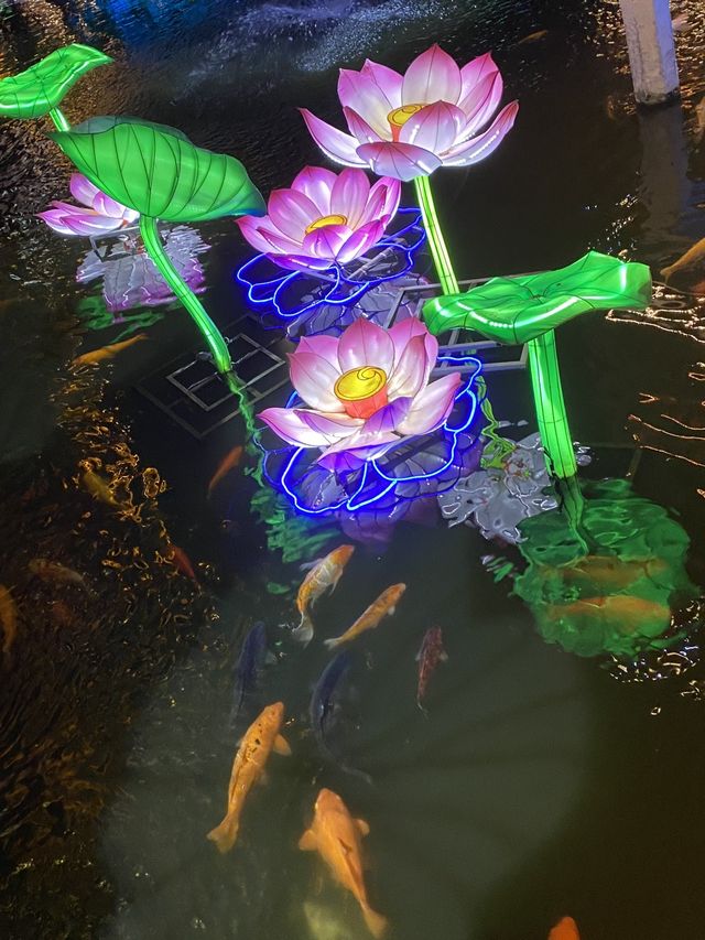 Breathtaking night walks, Yuyuan Garden
