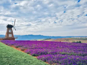 동풍운(둥펑윈) 관광지