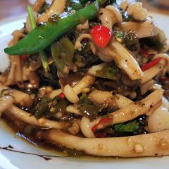 Niancai (yangguangshiji'aotelaisidian) User Photo