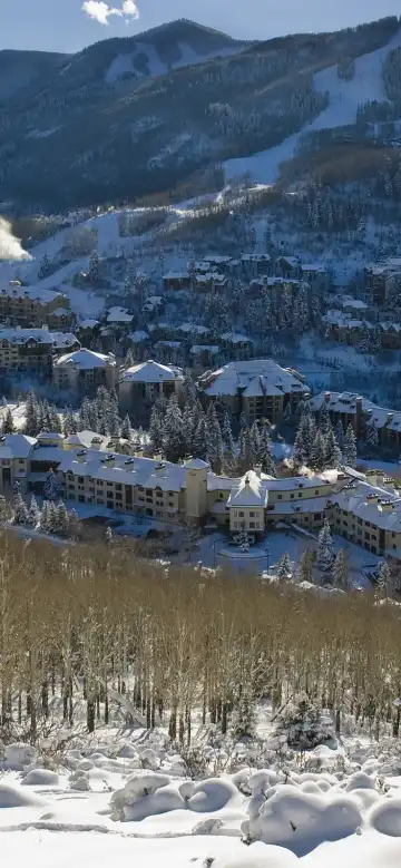 ベールのホテル