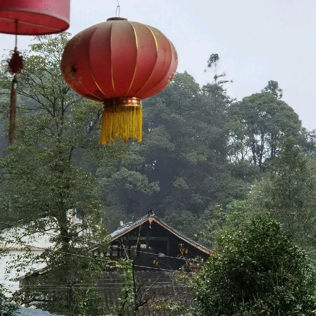 Ya'an: Hidden Gem in Sichuan