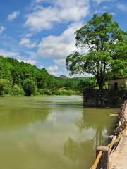 野梅嶺森林公園