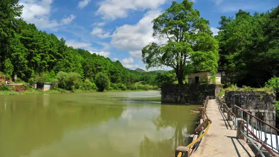 野梅嶺森林公園