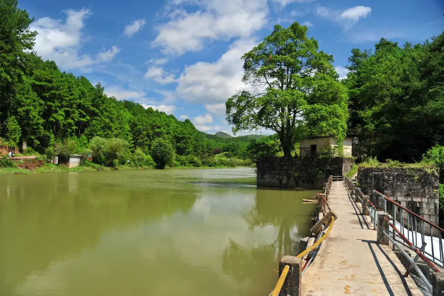 野梅嶺森林公園