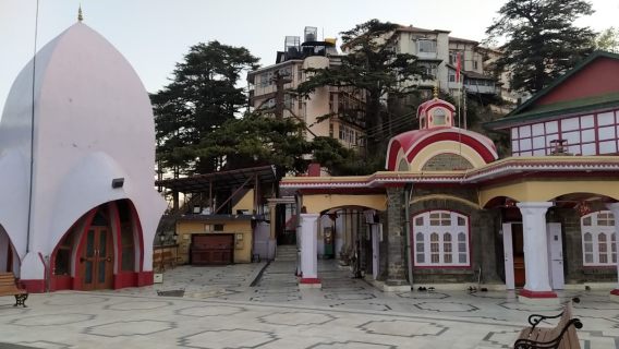 Shimla