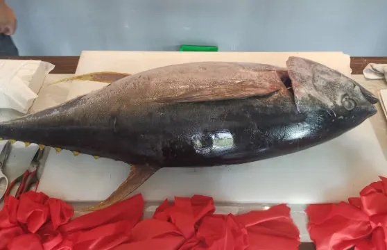 Bibongjeong Charcoal Fire Ribs