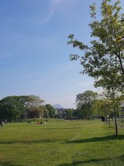 Leith Links