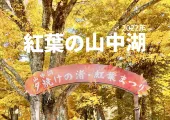 【山中湖】夕焼けの渚 紅葉まつり🍁で富士山と絶景の紅葉狩り