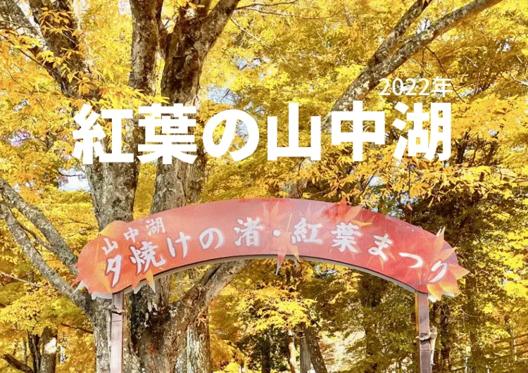 【山中湖】夕焼けの渚 紅葉まつり🍁で富士山と絶景の紅葉狩り